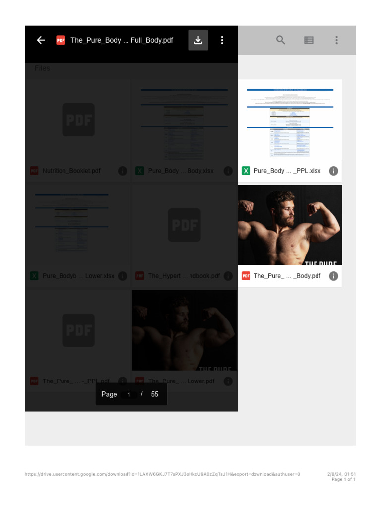 Jeff Nippard's Pure Bodybuilding Program | PDF