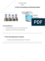 Cash Flow & Working Capital