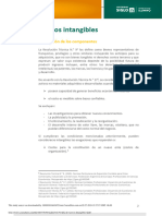 Auditor A de Activos Intangibles 6 PDF