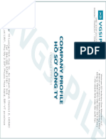 VGSI PILE Company Profile Mo Khoa - Bản Cập Nhật Mới T3 Up Website - Compressed