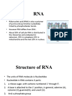 RNA