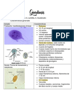 Resumen Parasitos Del Intestino Delgado