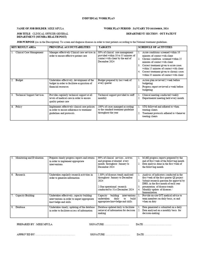 Individual Work Plan PDF Chronic Condition Health Care