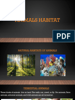 Animals Habitat Science