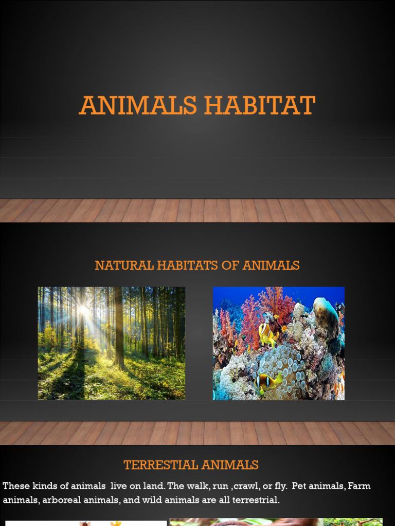 Animal Habitats Explained: Types & Examples | PDF | Pond | Habitat