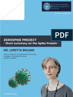 Zerospike Project Brochure