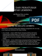 Tehnik Dan Peraturan Lempar Lembing