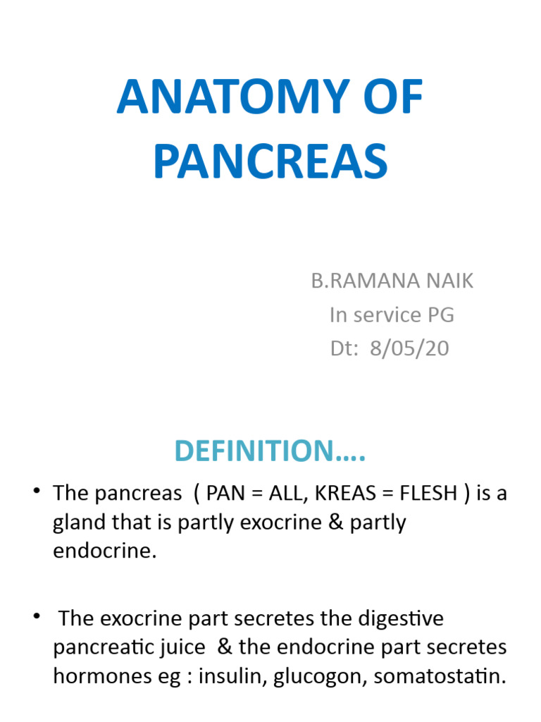 Anatomy and Function of the Pancreas | PDF