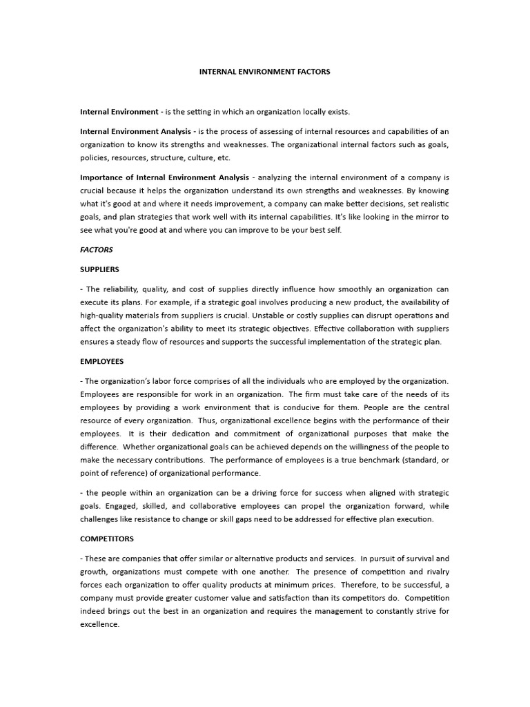 Internal Environment Insights | PDF | Strategic Management | Supply Chain