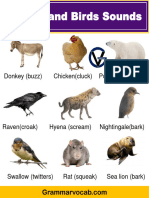 Animal and Birds Sounds PD