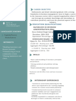 Professional CV Resume