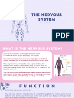 STEM 12 ERYTHRON Nervous System