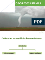 Perturbação No Equilíbrio Dos Ecossistemas