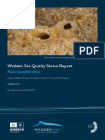 Wadden Sea Quality Status Report - Macrozoobenthos 