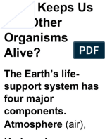 What Keeps Us and Other Organisms Alive