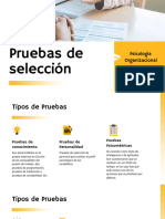 Pruebas de Selección