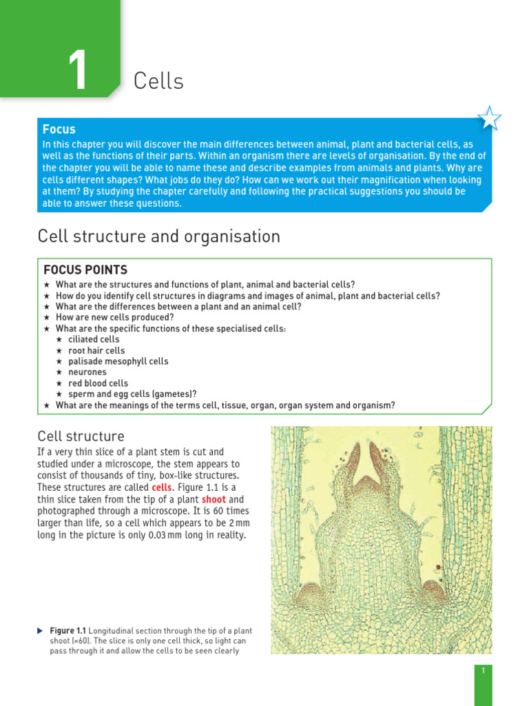 Cell Wall Components in Different Cells | PDF | Cell (Biology) | Cytoplasm