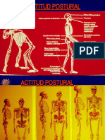 Antropología