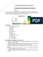 Cromatografia de Fulles D'espinacs