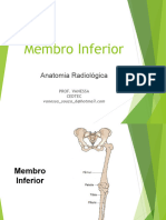 Aula 4 - Membro Inferior Tornozelo e Perna