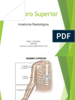 Aula 2 - Membro Superior - Braço