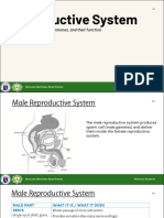 The Reproductive System