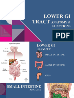 Lower Gi Tract Anatomy & Functions