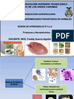 PDF Protozoos y Nematelmintospptx Compress