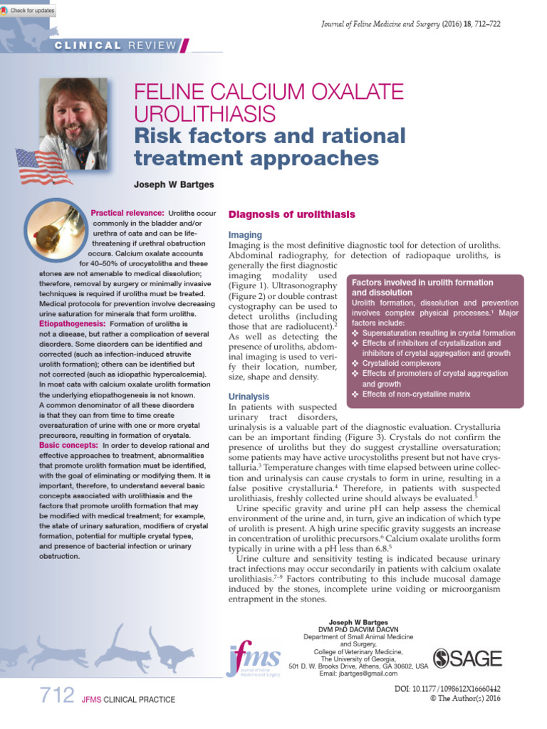 Curated visual reference: Visual Reference: Bartges 2016 Feline Calcium Oxalate Urolithiasis Risk Factors And