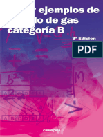 Test y Ejemplos de Calculo de Gas Categoría B (3a. Ed.) (PDFDrive)