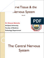2-Histology of Nerve Tissue The Nervous System Part 2