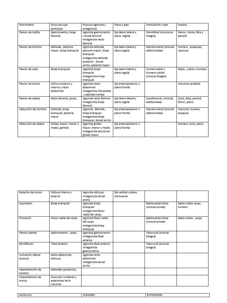 Anatomia Final Articulaciones Pdf Hombro Anatomía Humana