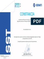 CONSTANCIA - Evaluacion de Riesgos