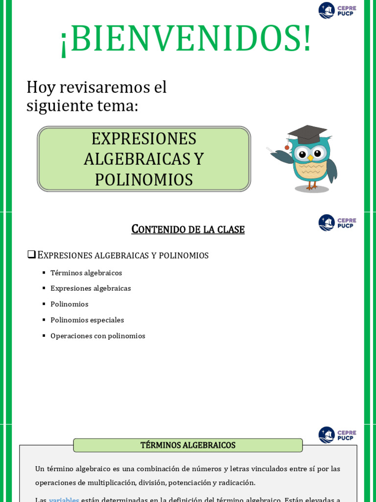 Expresiones Algebraicas y Polinomios | PDF | Relaciones matematicas ...