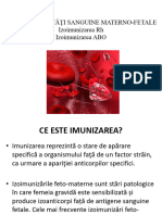 Httpsginecologie Usmf Mdsitesdefaultfilesinline-Files28 20Izoimunizarea20Rh2C20ABO PDF