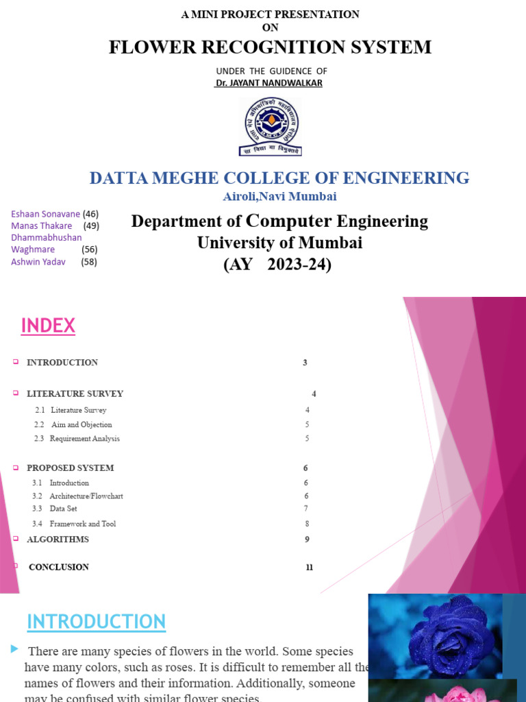 Flower Recog System | PDF | Deep Learning | Computer Vision