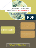 Infecciones de Los Tejidos Blandos No Necrosantes