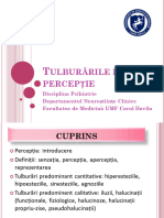 Curs 2 Tulburarile de Percepție