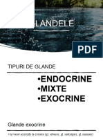 Glande Endocrine Cls 7complet