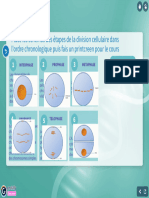 La Division Cellulaire (Mitose) Cycle 4