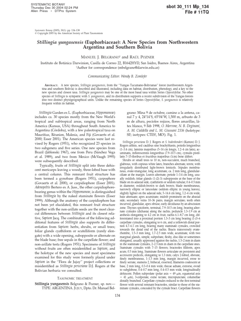 Stillingia Yungasensis (Euphorbiaceae) : A New Species From ...