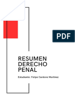Resumen Penal (P.E) - Final