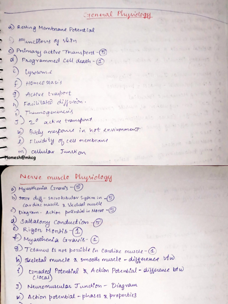 Physiology Short Notes Qs | PDF | Urinary System | Animal Physiology