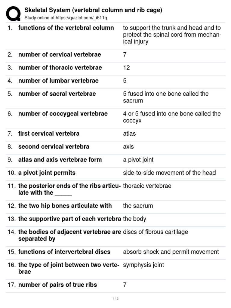 Skeletal System (Vertebral Column and Rib Cage) | PDF | Social Science ...