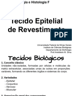 Cópia de 06 Tecido Epitelial de Revestimento - Atualizado