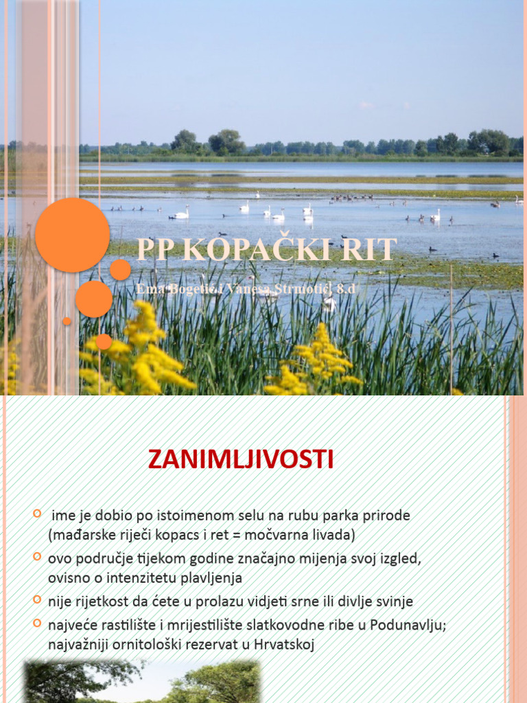 PP Kopački Rit | PDF