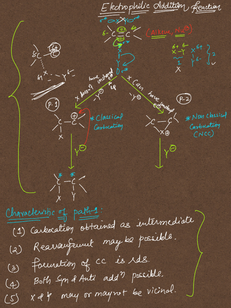 Electrophillic Addition Theory and Questions | PDF