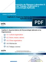 Clase Semana 7. Psicosociología Aplicada en Las Organizaciones