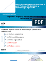 Clase Semana 8. Psicosociología Aplicada en Las Organizaciones - Parte II