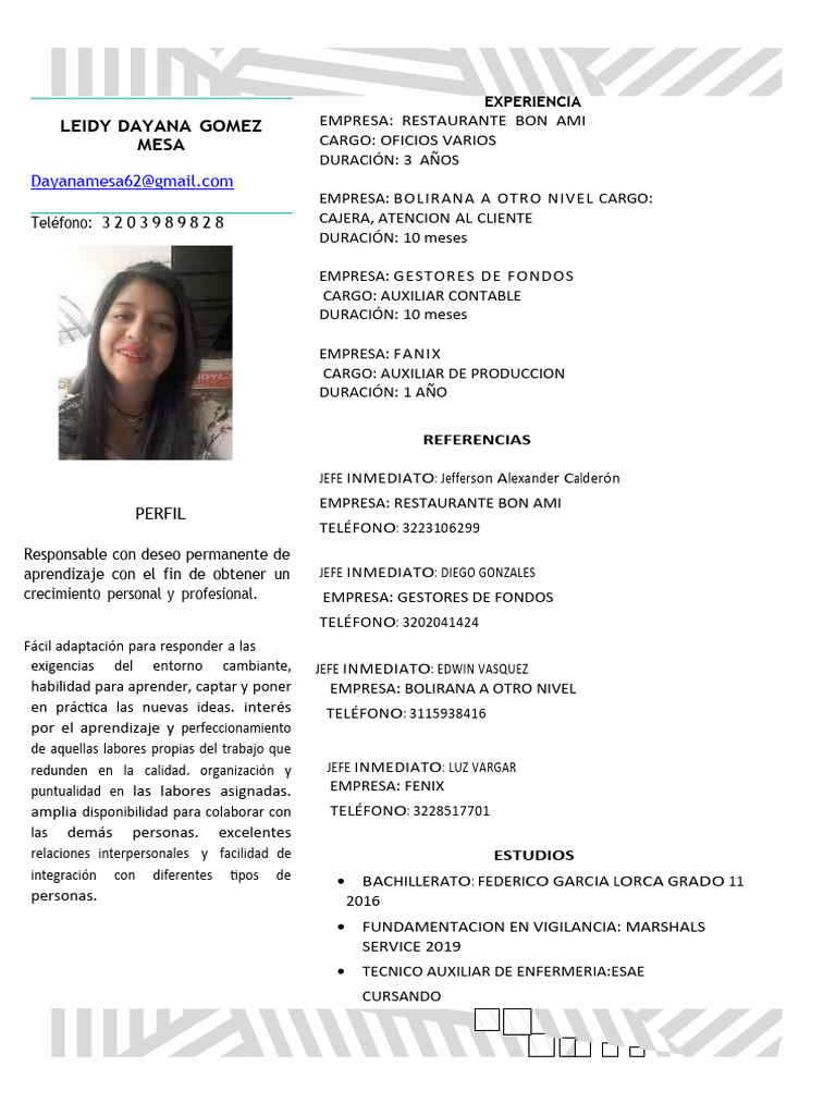 Perfil Profesional de Leidy Dayana Gómez | PDF | Aprendizaje ...